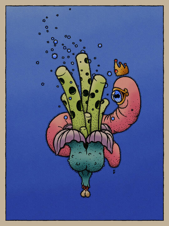 wormly princess